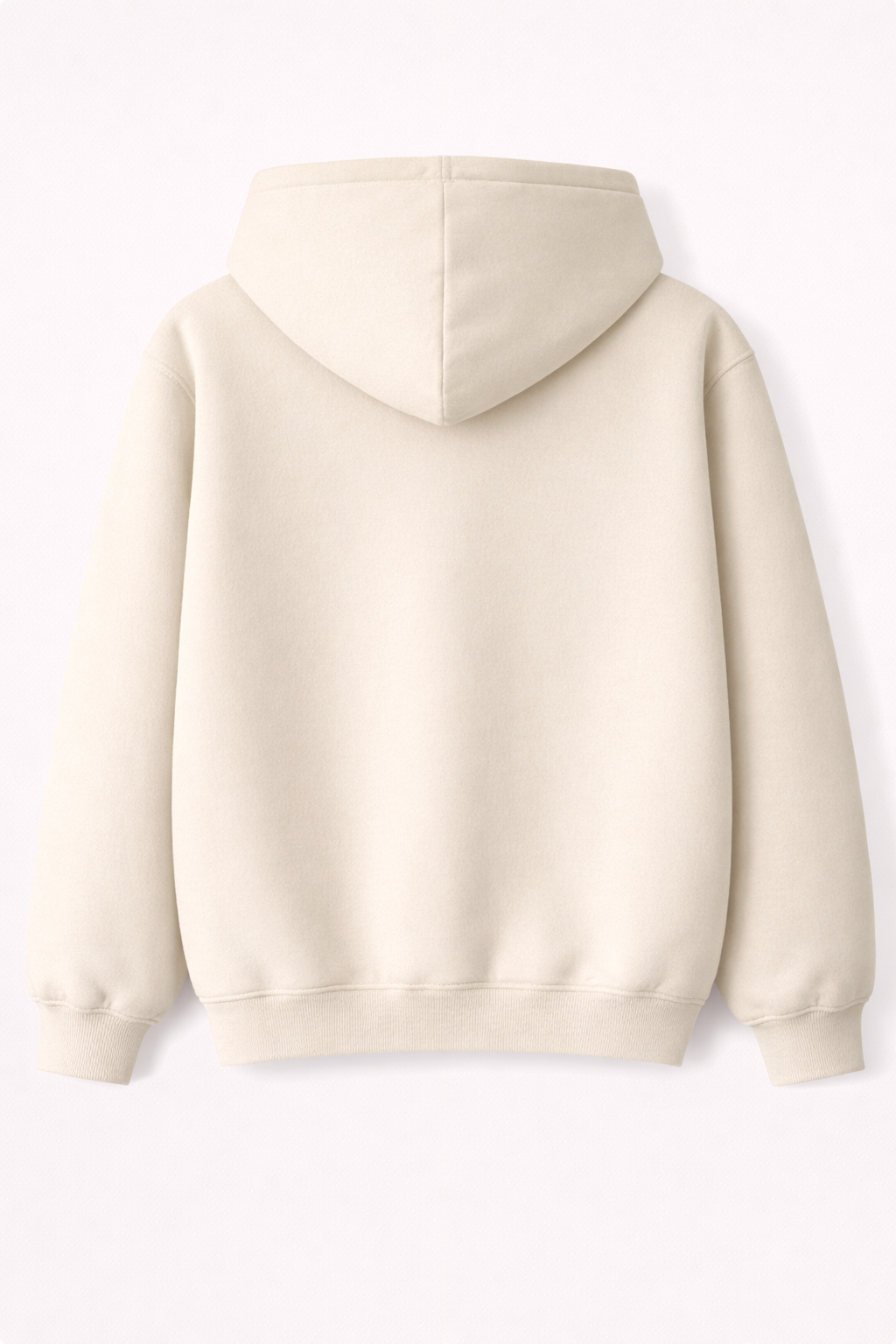Regular Fit Hoodie (350 GSM)