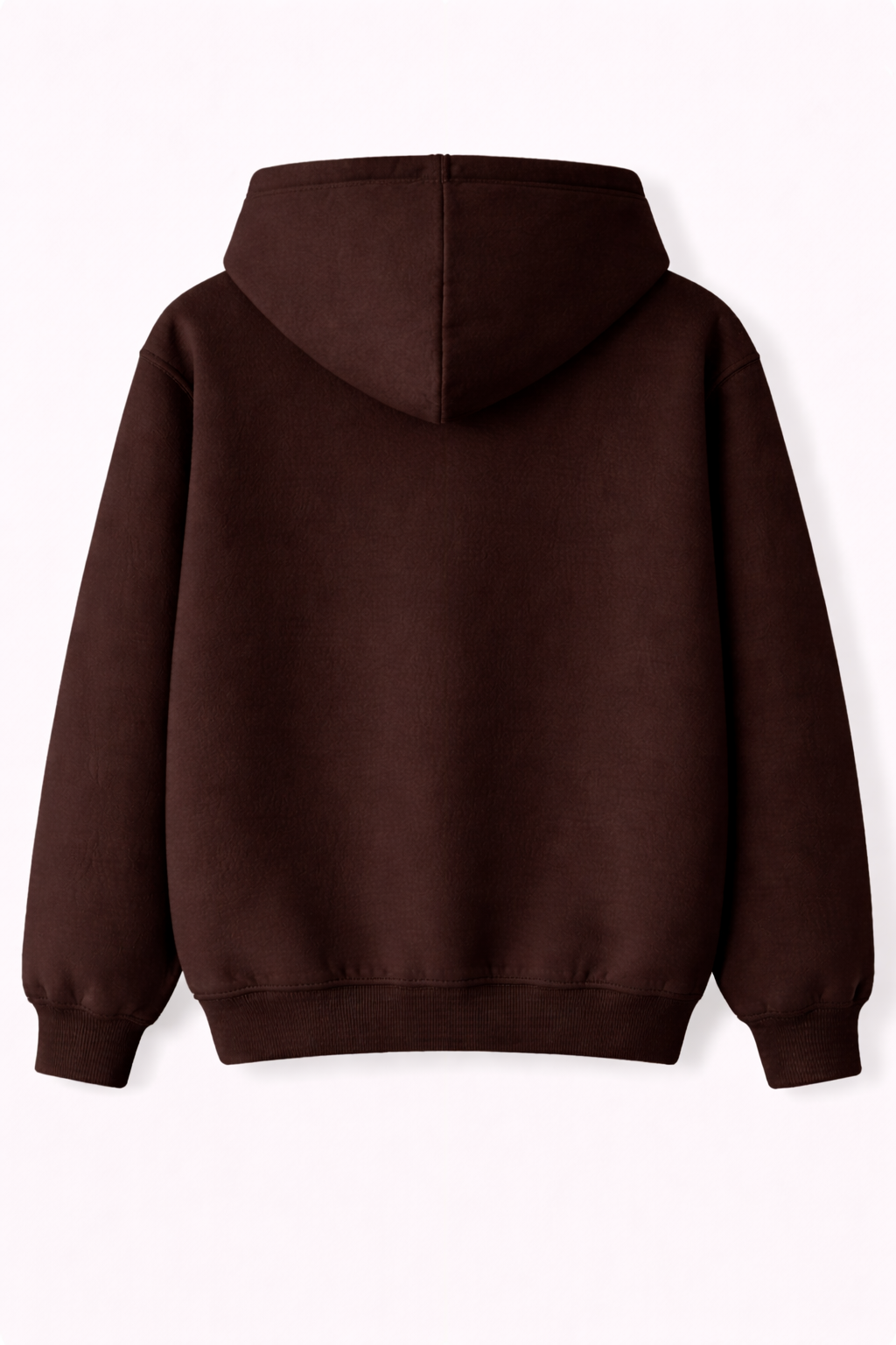 Regular Fit Hoodie